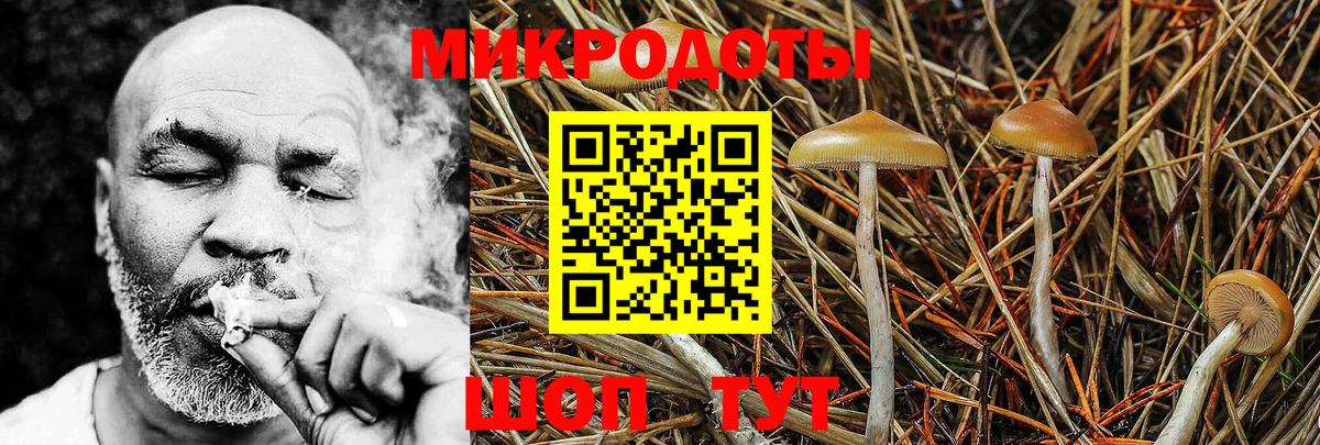 Новочеркасск  где купить   Вход с VPN  Псилоцибиновые грибы прущие грибы 