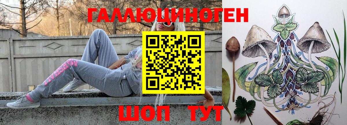 Галлюциногенные грибы Psilocybine cubensis Новочеркасск
